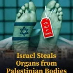 organ thief Israel