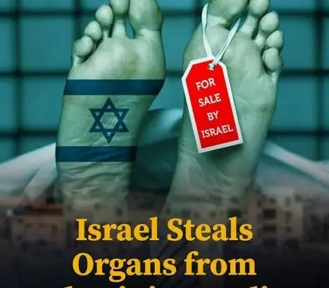 organ thief Israel